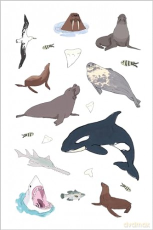 Wildlife Anatomy Sticker Book: A Julia Rothman Creation: More than 500 Stickers - Julia Rothman [KSIĄŻKA]