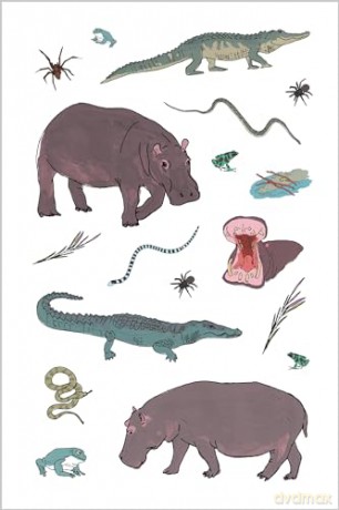 Wildlife Anatomy Sticker Book: A Julia Rothman Creation: More than 500 Stickers - Julia Rothman [KSIĄŻKA]