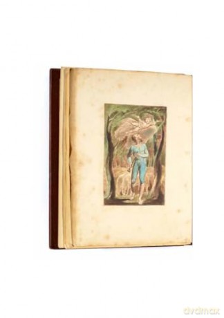 William Blake's Songs of Innocence - William Blake [KSIĄŻKA]