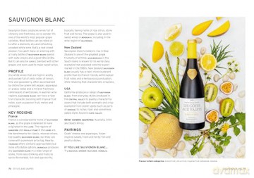 Wine: Taste Pair Pour: Grow your knowledge with every glass - Charlotte Kristensen [KSIĄŻKA]