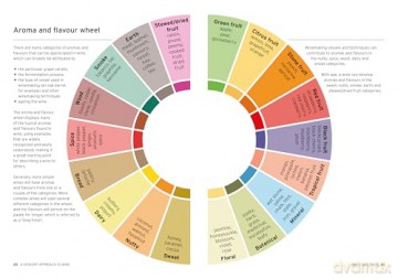 Wine: Taste Pair Pour: Grow your knowledge with every glass - Charlotte Kristensen [KSIĄŻKA]