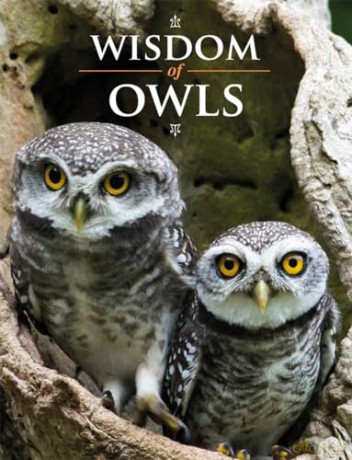 Wisdom of Owls - Lisa Purcell [KSIĄŻKA]