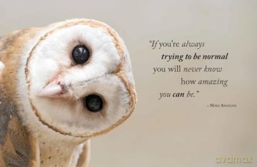 Wisdom of Owls - Lisa Purcell [KSIĄŻKA]