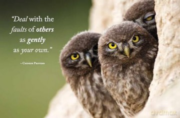 Wisdom of Owls - Lisa Purcell [KSIĄŻKA]