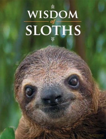 Wisdom of Sloths - Lisa Purcell [KSIĄŻKA]