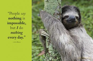 Wisdom of Sloths - Lisa Purcell [KSIĄŻKA]