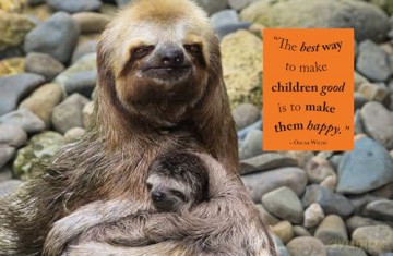 Wisdom of Sloths - Lisa Purcell [KSIĄŻKA]