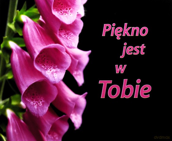 Perełka 155 - Piękno jest w Tobie [KSĄŻKA]