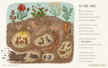 Wisdom of the Woods: 40 Poems to Treasure (Brown Bear Wood) - Rachel Piercey [KSIĄŻKA]
