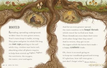 Wisdom of the Woods: 40 Poems to Treasure (Brown Bear Wood) - Rachel Piercey [KSIĄŻKA]