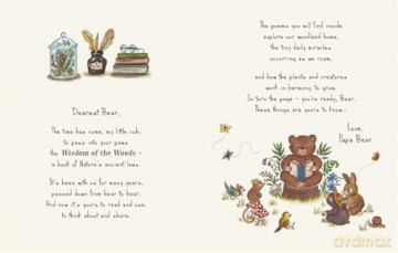 Wisdom of the Woods: 40 Poems to Treasure (Brown Bear Wood) - Rachel Piercey [KSIĄŻKA]