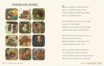 Wisdom of the Woods: 40 Poems to Treasure (Brown Bear Wood) - Rachel Piercey [KSIĄŻKA]