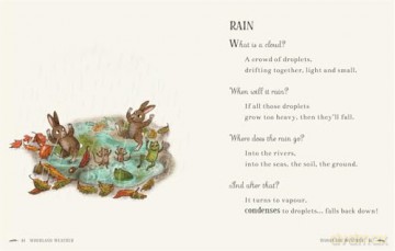 Wisdom of the Woods: 40 Poems to Treasure (Brown Bear Wood) - Rachel Piercey [KSIĄŻKA]