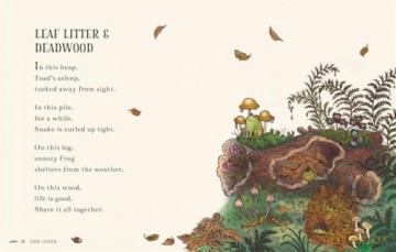 Wisdom of the Woods: 40 Poems to Treasure (Brown Bear Wood) - Rachel Piercey [KSIĄŻKA]
