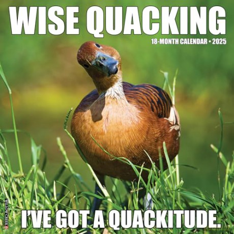 Wise Quacking 2025 Wall [KSIĄŻKA]
