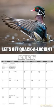 Wise Quacking 2025 Wall [KSIĄŻKA]