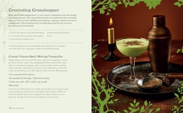 Witchy Cocktails: Over 65 recipes for enchantment in a glass, including classic cocktails, magical mocktails, pagan punches, and more - Cerridwen Greenleaf [KSIĄŻKA]