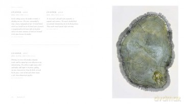 Woodcut: (Updated Edition) - Bryan Nash Gill [KSIĄŻKA]