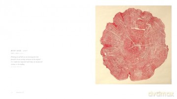 Woodcut: (Updated Edition) - Bryan Nash Gill [KSIĄŻKA]