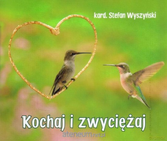 Perełka 235 - Kochaj i zwyciężaj [KSĄŻKA]
