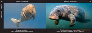 World of Mammals: A stunning photographic celebration of the planet's mammals, from aardvarks to zebras [KSIĄŻKA]