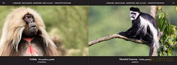 World of Mammals: A stunning photographic celebration of the planet's mammals, from aardvarks to zebras [KSIĄŻKA]