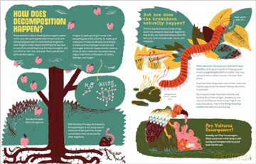 World of Rot: Learn All about the Wriggly, Slimy, Super-Cool Decomposers We Couldn't Live Without - Britt Crow-Miller [KSIĄŻKA]