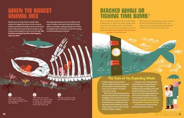 World of Rot: Learn All about the Wriggly, Slimy, Super-Cool Decomposers We Couldn't Live Without - Britt Crow-Miller [KSIĄŻKA]