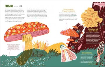 World of Rot: Learn All about the Wriggly, Slimy, Super-Cool Decomposers We Couldn't Live Without - Britt Crow-Miller [KSIĄŻKA]