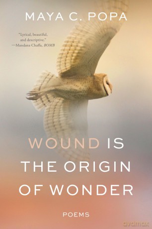 Wound Is the Origin of Wonder: Poems - Maya C Popa [KSIĄŻKA]