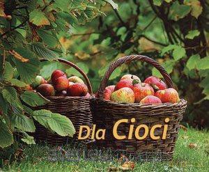 Perełka 243 - Dla Cioci [KSĄŻKA]