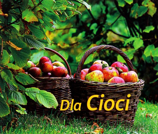 Perełka 243 - Dla Cioci [KSĄŻKA]