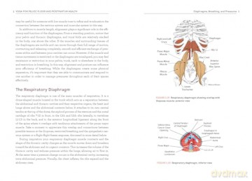 Yoga for Pelvic Floor and Postpartum Health: An Iyengar Yoga Approach to Pelvic Healing and Integrative Wellness through Anatomy and Practice - Rebecca Weisman [KSIĄŻKA]