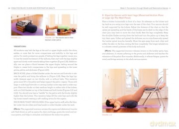 Yoga for Pelvic Floor and Postpartum Health: An Iyengar Yoga Approach to Pelvic Healing and Integrative Wellness through Anatomy and Practice - Rebecca Weisman [KSIĄŻKA]