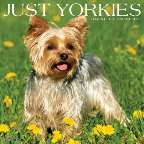 Yorkies 2025 Wall [KSIĄŻKA]