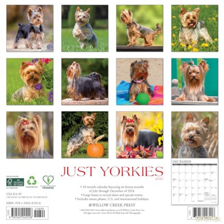 Yorkies 2025 Wall [KSIĄŻKA]