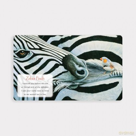 You Stole My Name: The Curious Case of Animals with Shared Names (Board Book) - Dennis McGregor [KSIĄŻKA]