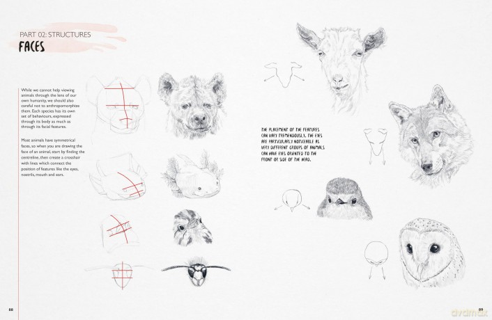 You Will Be Able to Draw Animals by the End of This Book - Jake Spicer [KSIĄŻKA]