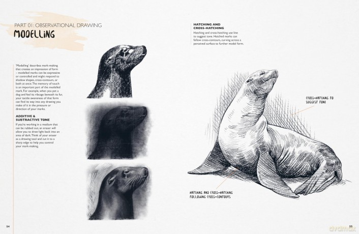 You Will Be Able to Draw Animals by the End of This Book - Jake Spicer [KSIĄŻKA]