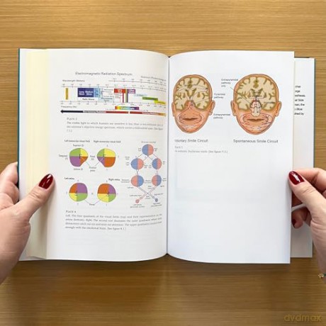 Your Stone Age Brain in the Screen Age: Coping with Digital Distraction and Sensory Overload - Richard E. Cytowic [KSIĄŻKA]