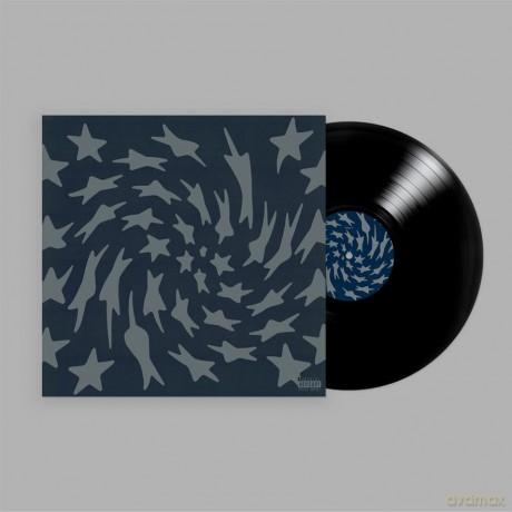 Toro Y Moi: Hole Erth [Winyl]