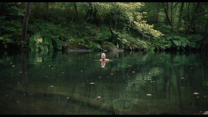 20,000 Species of Bees (20 000 gatunków pszczół) [Blu-Ray]