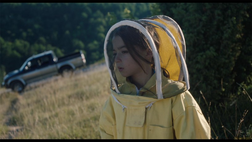 20,000 Species of Bees (20 000 gatunków pszczół) [Blu-Ray]