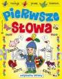 Pierwsze słowa AWM [KSĄŻKA]