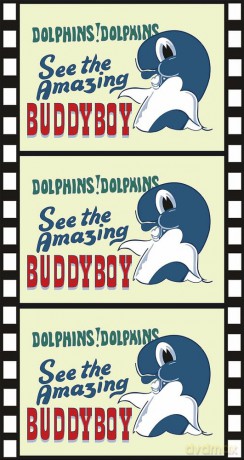 Buddyboy [DVD]