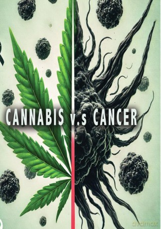 Cannabis v.s Cancer [DVD]