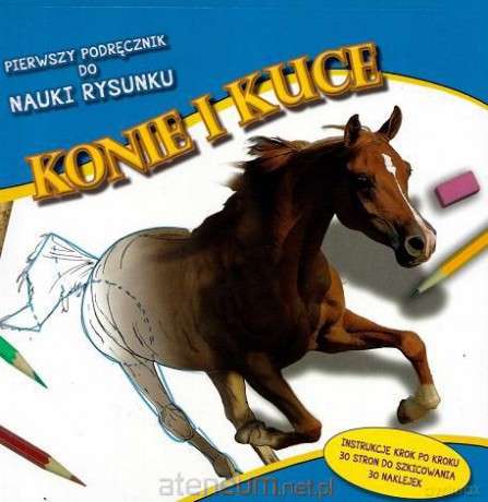 Pierwszy podręcznik do nauki rysunku - Konie [KSĄŻKA]