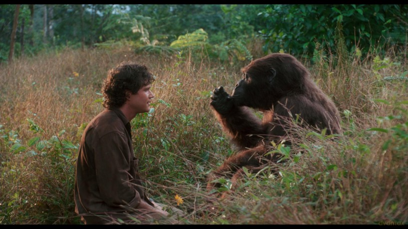 Congo (Kongo) [Blu-Ray 4K]+[Blu-Ray]