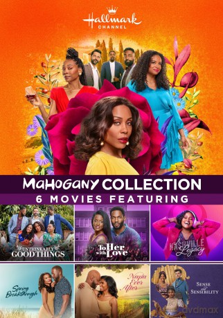 Hallmark 6 Movie Collection: Unthinkably Good Things, To Her With Love, A Nashville Legacy, Spring Breakthrough and more [DVD]