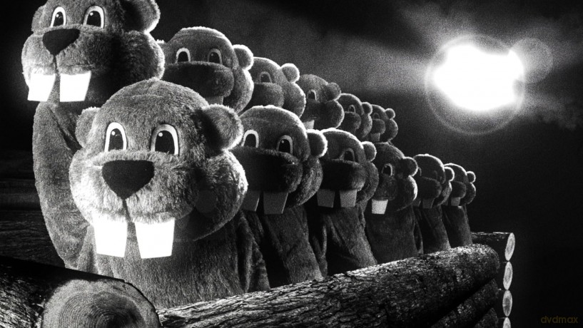 Hundreds of Beavers (Setki bobrów) [Blu-Ray]